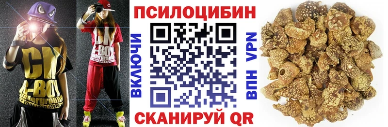 что такое наркотик  Сертолово  Псилоцибиновые грибы мухоморы 